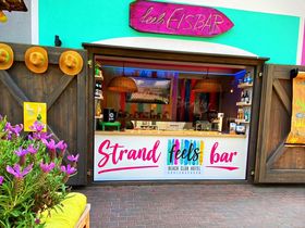 Mit Frauchens Liebling am Ostseestrand - Hundearrangement 