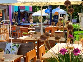 Mit Frauchens Liebling am Ostseestrand - Hundearrangement 