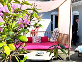 Mit Frauchens Liebling am Ostseestrand - Hundearrangement 