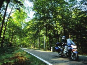 Weingenuss & Weinerlebnis Wochenende in der Pfalz | 3 Tage inkl. HP, Weinprobe und Pfalzcard