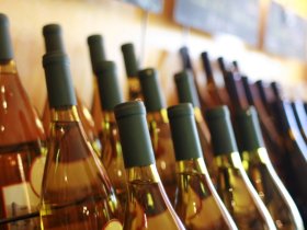 Weingenuss & Weinerlebnis Wochenende in der Pfalz | 3 Tage inkl. HP, Weinprobe und Pfalzcard