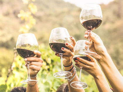 Wohlfühlen auf Pfälzisch | 4 Tage inkl. HP, Wein & PfalzCard 