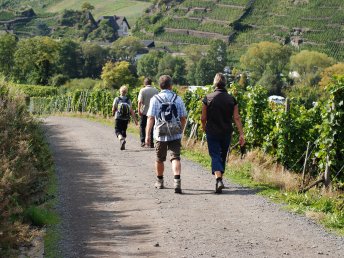 Pfalz-Wander-Wochen im Gutshof Ziegelhütte | 8 Tage inkl. HP & PfalzCard
