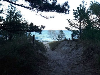 Bild 25 von 26