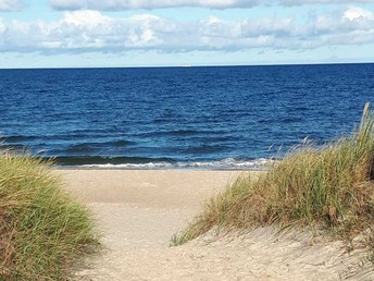 Bild 26 von 26