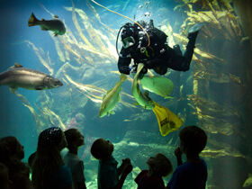 4 Tage Kurzurlaub an der Nordsee inmitten des Wattenmeeres