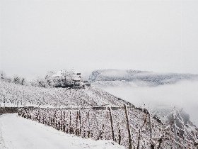 Moseltraumurlaub im Winter | 6 Tage