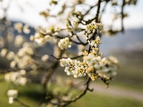 Moseltraumurlaub im Winter | 6 Tage