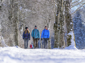 Moseltraumurlaub im Winter | 6 Tage