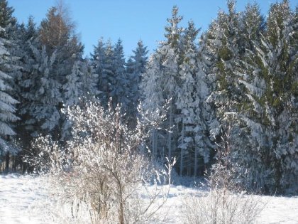 MOSELtraumurlaub– Unsere Heimat. Unsere Liebe. | 6 Tage