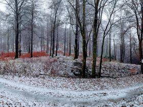 Herbstzeit in Winterberg -Sauerland- | 4 Tage 