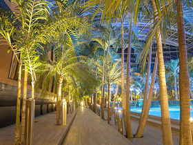 Kurzurlaub unter Palmen in der Therme Erding