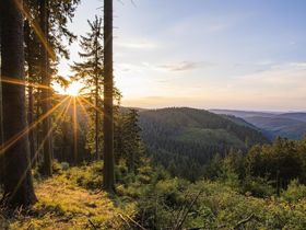 Kleine-Auszeit - 4 Tage Sauerland