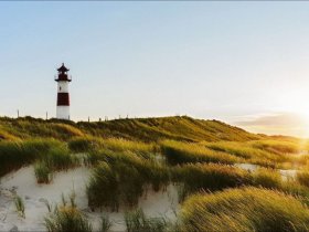 Sonntags-Special in Husum an der Nordsee