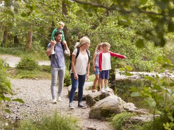 Bild 12 von 21