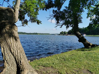 Auszeit an der Meckl. Seenplatte inkl. Kaminholz