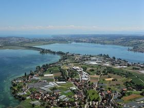 60 Jahre und kein bisschen... - Liebe auf der Insel Reichenau