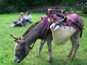2 Tage Kurzurlaub  am Niederrhein inkl. 3-Gang-Menü