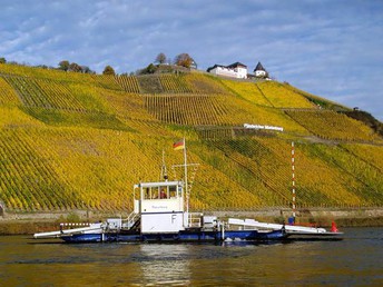 Bild 25 von 33