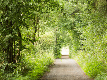 Bild 25 von 33