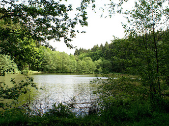Bild 21 von 33