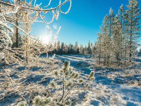 Wellness am Sonntag - Fast geschenkt! 2 Tage in der Eifel ab 50,00 EUR