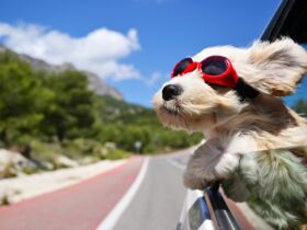 3 Tage Eifel - Aktiv-Auszeit in der Natur inkl. Abendessen