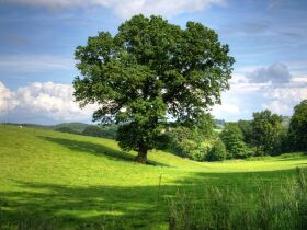 Wellness am Sonntag - Fast geschenkt! 2 Tage in der Eifel ab 50,00 EUR