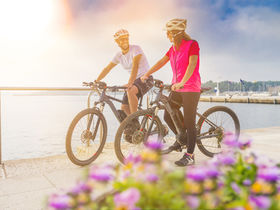 E-Bike Spezial | 3 Tage zwischen Schwarzwald & Elsass