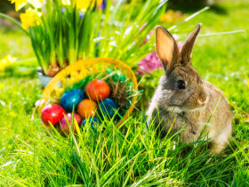 Ostern genießen am Rhein 