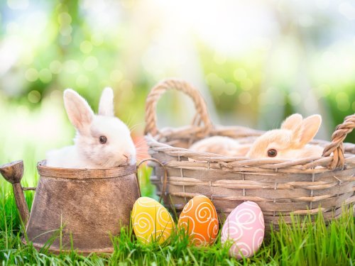 Ostern an der Ostsee 