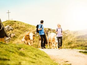 Erlebnisurlaub am Kitzbüheler Horn | 3 Nächte