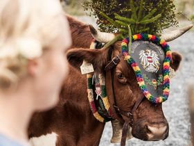 Aktivurlaub im wunderschönen Maria Alm inkl. Hochkönigcard | 2 Nächte