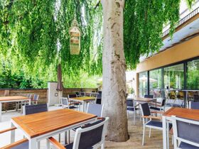 Advent-Romantik in der Steiermark inkl. 3-Gang Menü | 3 Nächte