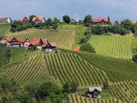 Auszeit im steirischen Schilcherland inkl. Genießerfrühstück & Stainzerhof Plus Card | 2 Nächte