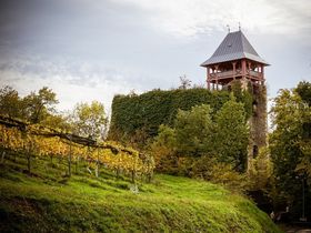 3 Tage RAD-Genuss im südoststeirische Weinland inkl. Frühstück
