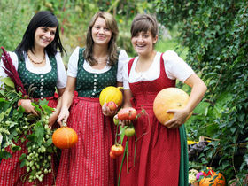  Schnuppern im Dirndltal inkl. 3,5-Gang-Dinner | 5 Nächte