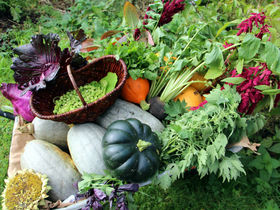  Schnuppern im Dirndltal inkl. 3,5-Gang-Dinner | 5 Nächte