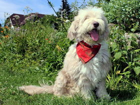  Schnuppern im Dirndltal inkl. 3,5-Gang-Dinner | 5 Nächte