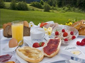 Silvester auf der Alm - inklusive Silvesterbuffet | 6 Tage