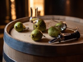 TOP-Silvester-HIT im Thermenhotel PuchasPlus mit Galababend & Silvesterprogramm 4 ÜN