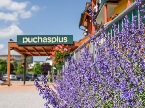 Thermenhotel PuchasPLUS Stegersbach