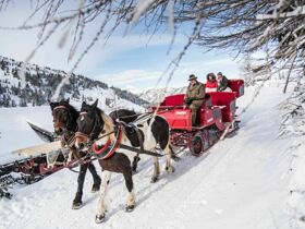 Natur-Entdecker Erlebnistage inkl. TschuTschuBahn & Ponyreiten am Katschberg | 3 Nächte 
