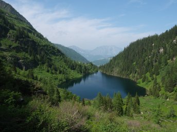 Appartement Urlaub in Schladming inkl. Sommercard für viele Ermäßigungen | 3 Nächte