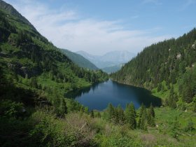 Sommer, Sonne, Berge | 1 Nacht Wanderurlaub bei Schladming inkl. Sommercard für viele Ermäßigungen