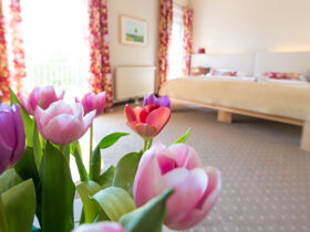 Wellness-Auszeit im Südburgenland inkl. Halbpension, Überwassermassage, NaturSPA uvm. 