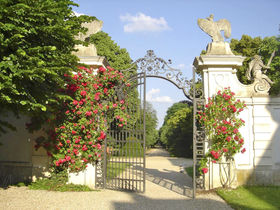 Schloss Schnuppern im Barockjuwel  | 3 Tage beim Schloss Halbturn inkl. Degustationsmenü 