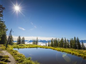 4=3 Herbstgenuss in Radstadt inkl. Therme Amadé
