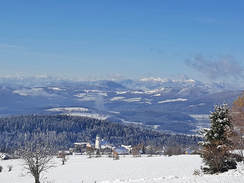 Wild, Wein, Advent im Landhotel im oststeirischen Almenland | 3 Nächte