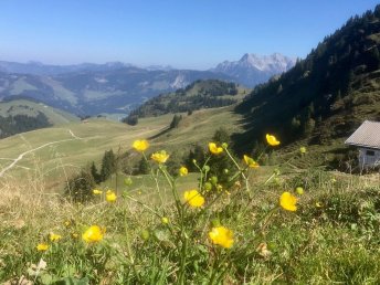 Auszeit in den Kitzbüheler Alpen inkl. Halbpension| 5 Nächte 